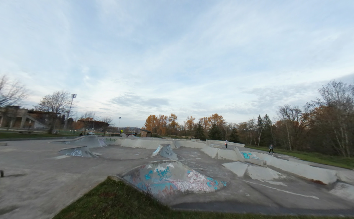 Bellingham Skatepark Skatedex
